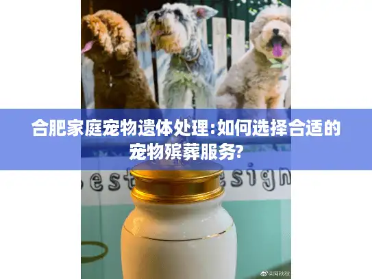 合肥家庭宠物遗体处理:如何选择合适的宠物殡葬服务?