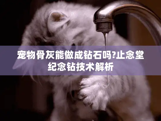 宠物骨灰能做成钻石吗?止念堂纪念钻技术解析