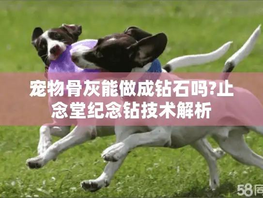宠物骨灰能做成钻石吗?止念堂纪念钻技术解析