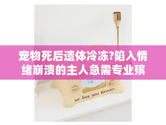 宠物死后遗体冷冻?陷入情绪崩溃的主人急需专业殡葬指南