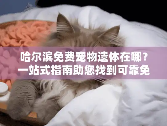 哈尔滨免费宠物遗体在哪？一站式指南助您找到可靠免费宠物殡葬服务