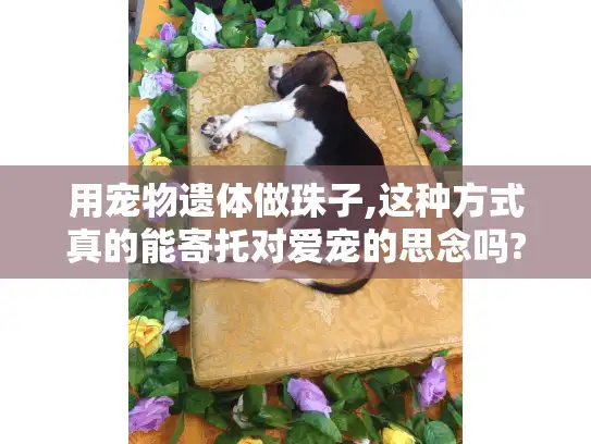 用宠物遗体做珠子,这种方式真的能寄托对爱宠的思念吗?
