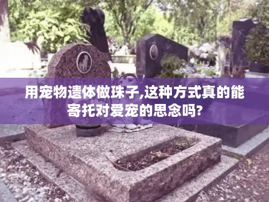 用宠物遗体做珠子,这种方式真的能寄托对爱宠的思念吗?