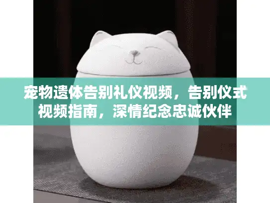 宠物遗体告别礼仪视频，告别仪式视频指南，深情纪念忠诚伙伴