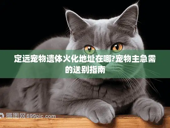 定远宠物遗体火化地址在哪?宠物主急需的送别指南