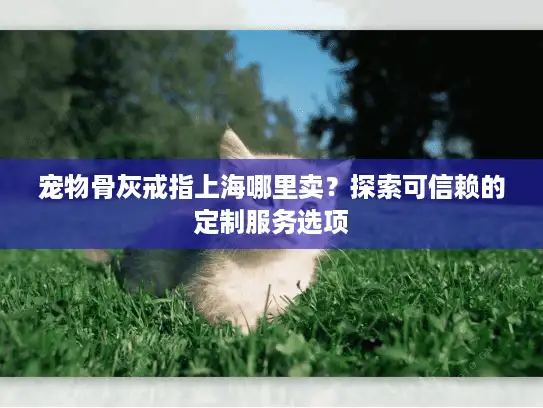 宠物骨灰戒指上海哪里卖？探索可信赖的定制服务选项
