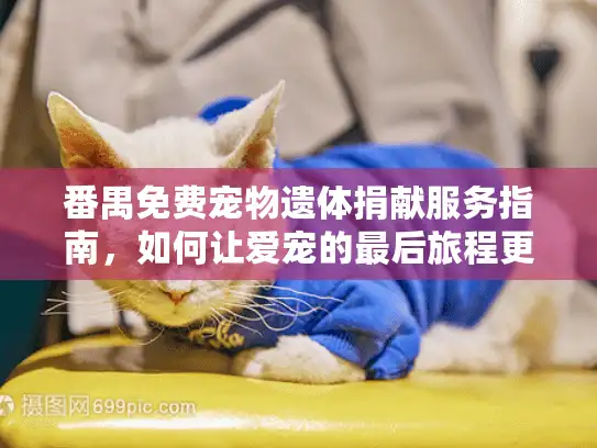 番禺免费宠物遗体捐献服务指南，如何让爱宠的最后旅程更有意义