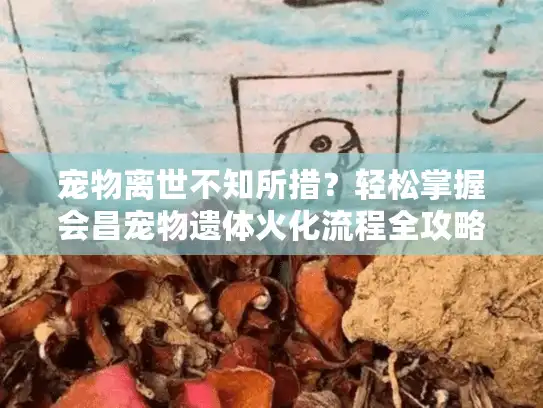 宠物离世不知所措？轻松掌握会昌宠物遗体火化流程全攻略