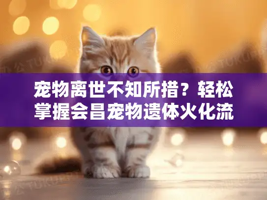 宠物离世不知所措？轻松掌握会昌宠物遗体火化流程全攻略