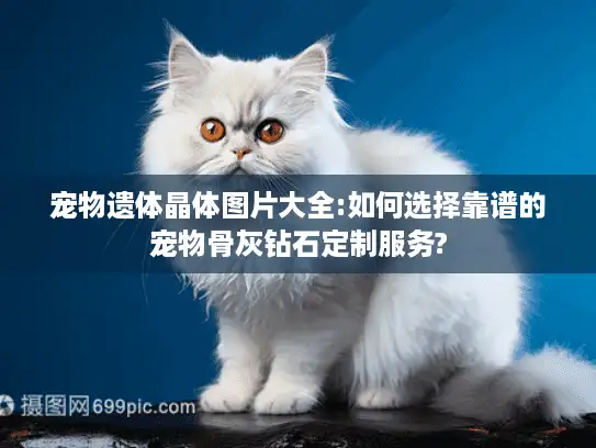 宠物遗体晶体图片大全:如何选择靠谱的宠物骨灰钻石定制服务?