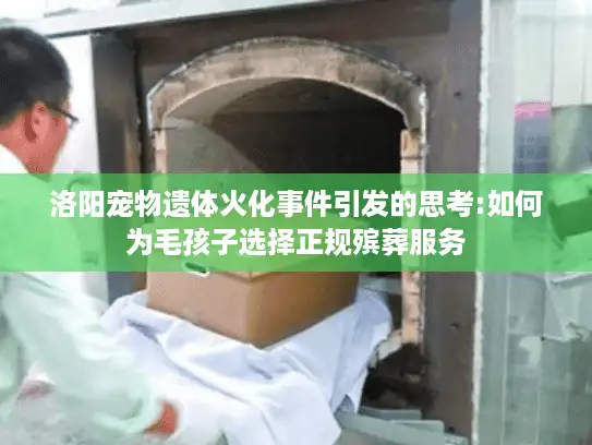 洛阳宠物遗体火化事件引发的思考:如何为毛孩子选择正规殡葬服务