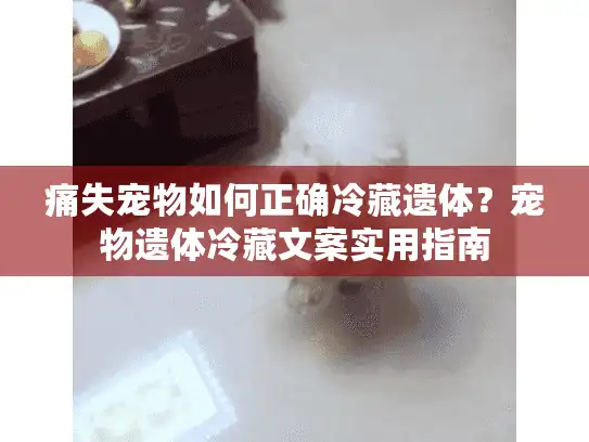 痛失宠物如何正确冷藏遗体？宠物遗体冷藏文案实用指南