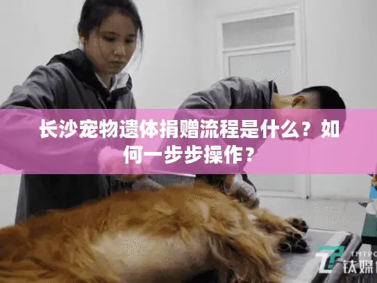 长沙宠物遗体捐赠流程是什么？如何一步步操作？