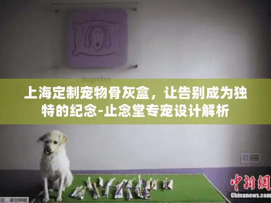 上海定制宠物骨灰盒，让告别成为独特的纪念-止念堂专宠设计解析
