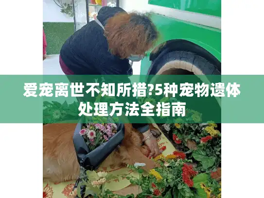 爱宠离世不知所措?5种宠物遗体处理方法全指南