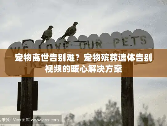宠物离世告别难？宠物殡葬遗体告别视频的暖心解决方案