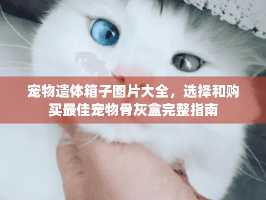 宠物遗体箱子图片大全，选择和购买最佳宠物骨灰盒完整指南