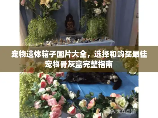 宠物遗体箱子图片大全，选择和购买最佳宠物骨灰盒完整指南