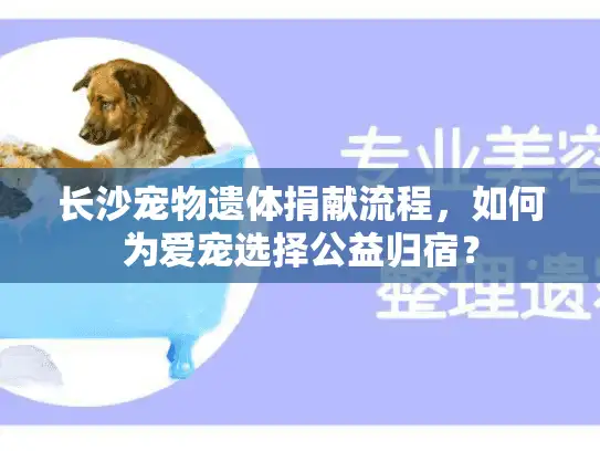 长沙宠物遗体捐献流程，如何为爱宠选择公益归宿？