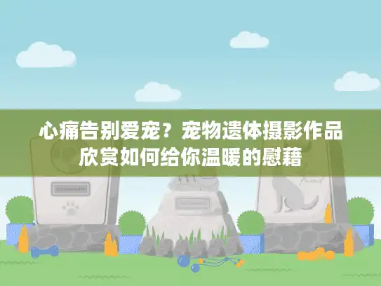 心痛告别爱宠？宠物遗体摄影作品欣赏如何给你温暖的慰藉