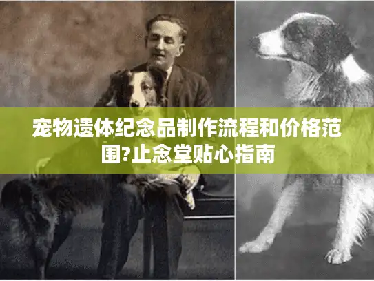 宠物遗体纪念品制作流程和价格范围?止念堂贴心指南