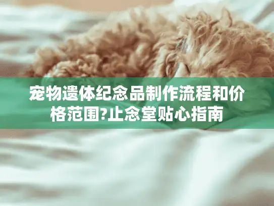 宠物遗体纪念品制作流程和价格范围?止念堂贴心指南