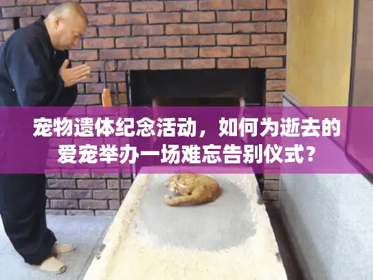 宠物遗体纪念活动，如何为逝去的爱宠举办一场难忘告别仪式？