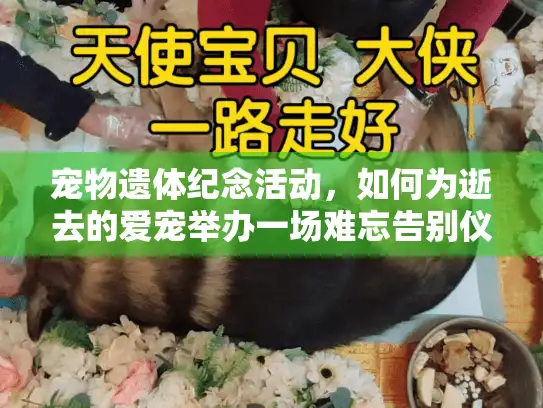 宠物遗体纪念活动，如何为逝去的爱宠举办一场难忘告别仪式？