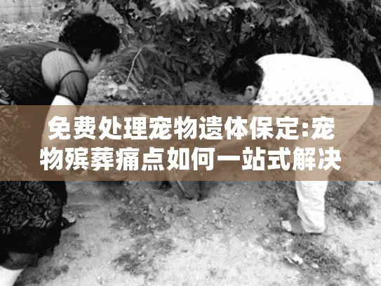免费处理宠物遗体保定:宠物殡葬痛点如何一站式解决?