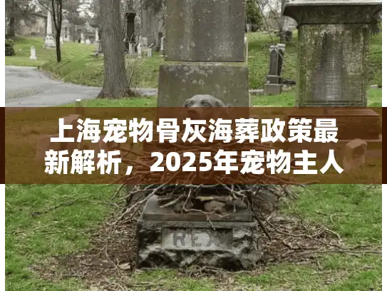 上海宠物骨灰海葬政策最新解析，2025年宠物主人如何合法海葬