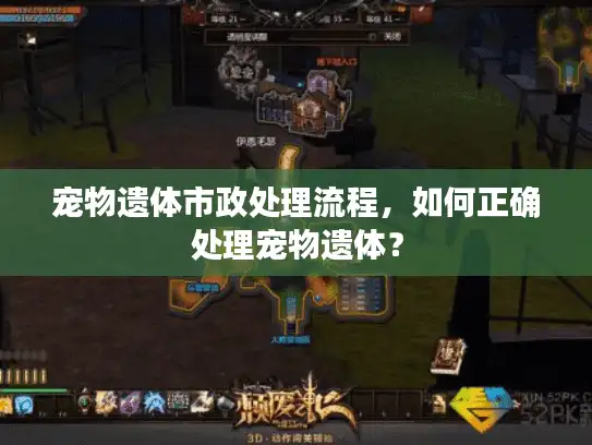宠物遗体市政处理流程，如何正确处理宠物遗体？