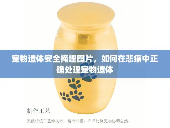 宠物遗体安全掩埋图片，如何在悲痛中正确处理宠物遗体