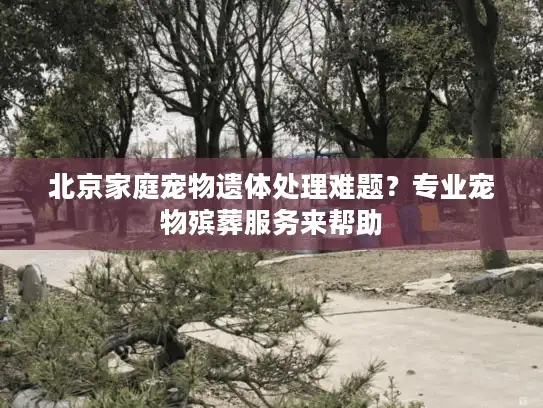 北京家庭宠物遗体处理难题？专业宠物殡葬服务来帮助
