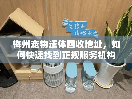 梅州宠物遗体回收地址，如何快速找到正规服务机构？