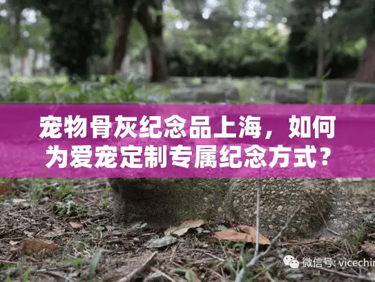 宠物骨灰纪念品上海，如何为爱宠定制专属纪念方式？