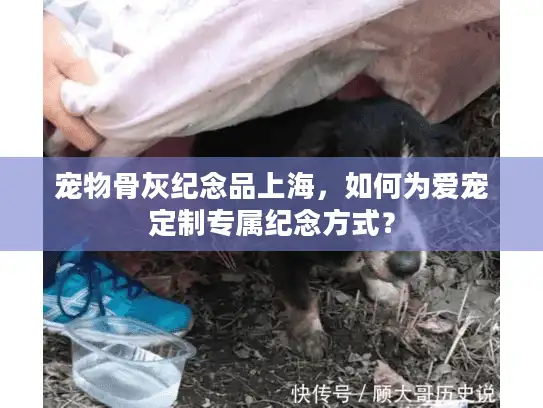 宠物骨灰纪念品上海，如何为爱宠定制专属纪念方式？