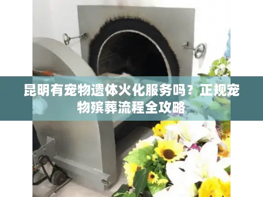 昆明有宠物遗体火化服务吗？正规宠物殡葬流程全攻略