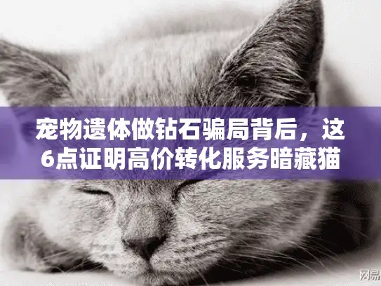 宠物遗体做钻石骗局背后，这6点证明高价转化服务暗藏猫腻！