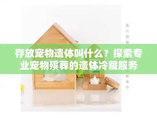 存放宠物遗体叫什么？探索专业宠物殡葬的遗体冷藏服务