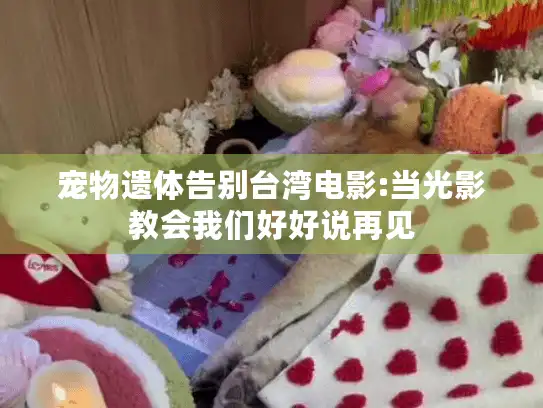 宠物遗体告别台湾电影:当光影教会我们好好说再见
