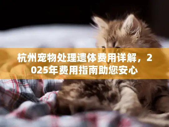 杭州宠物处理遗体费用详解，2025年费用指南助您安心