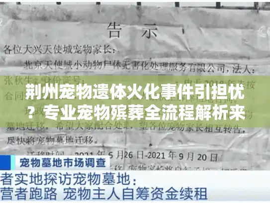 荆州宠物遗体火化事件引担忧？专业宠物殡葬全流程解析来了！