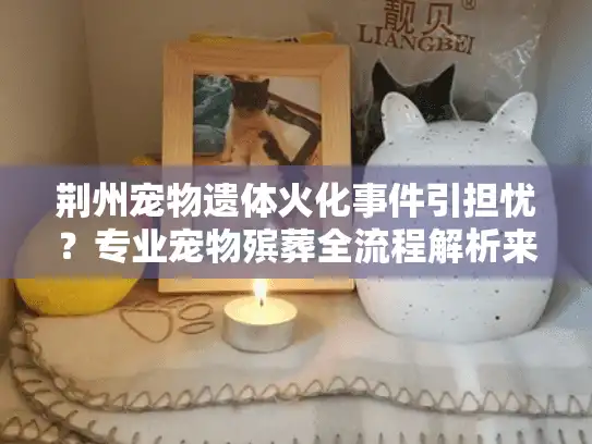 荆州宠物遗体火化事件引担忧？专业宠物殡葬全流程解析来了！