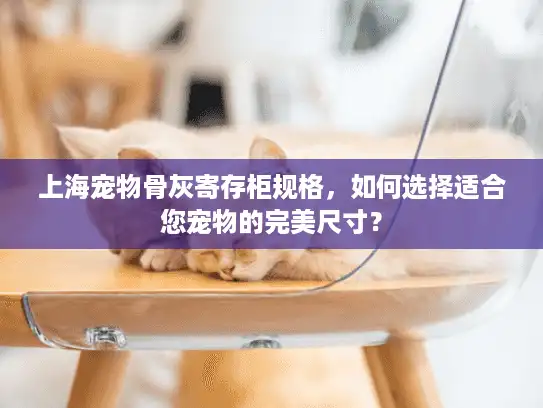 上海宠物骨灰寄存柜规格，如何选择适合您宠物的完美尺寸？
