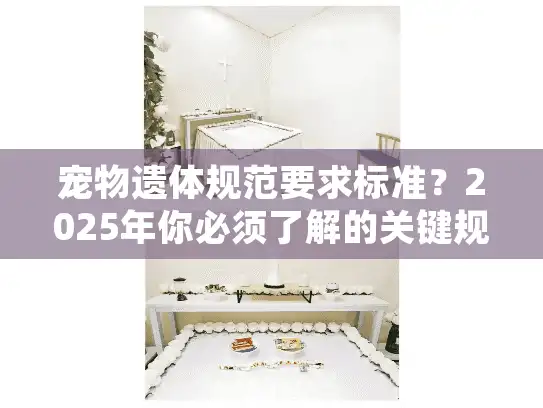 宠物遗体规范要求标准？2025年你必须了解的关键规定和实操指南