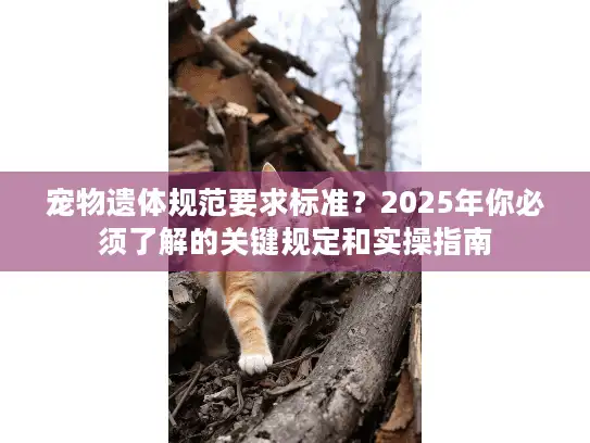 宠物遗体规范要求标准？2025年你必须了解的关键规定和实操指南