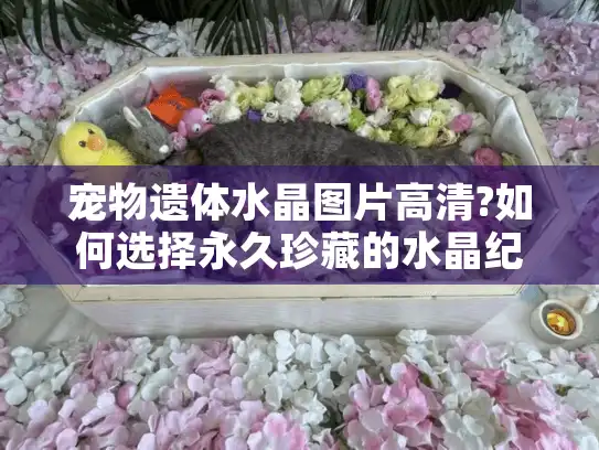 宠物遗体水晶图片高清?如何选择永久珍藏的水晶纪念品