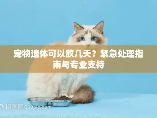 宠物遗体可以放几天？紧急处理指南与专业支持
