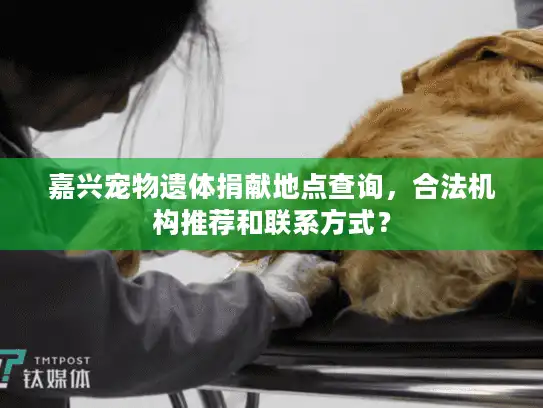 嘉兴宠物遗体捐献地点查询，合法机构推荐和联系方式？