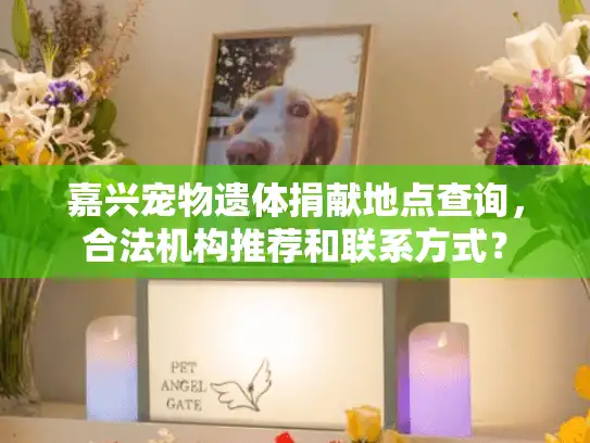 嘉兴宠物遗体捐献地点查询，合法机构推荐和联系方式？